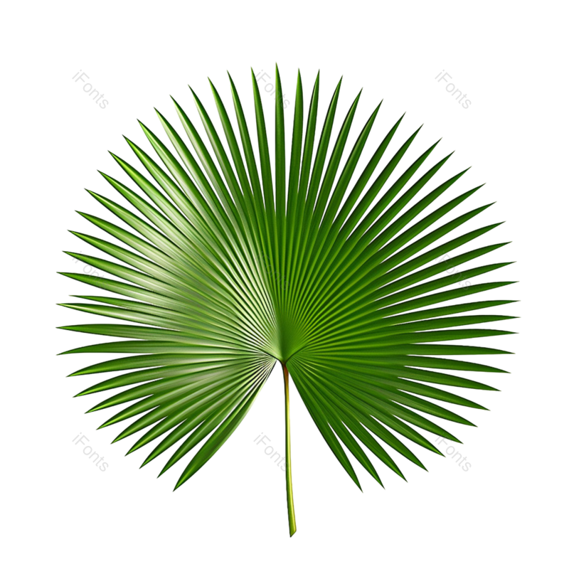叶子图片,清新元素,树木PNG,自然免抠素材